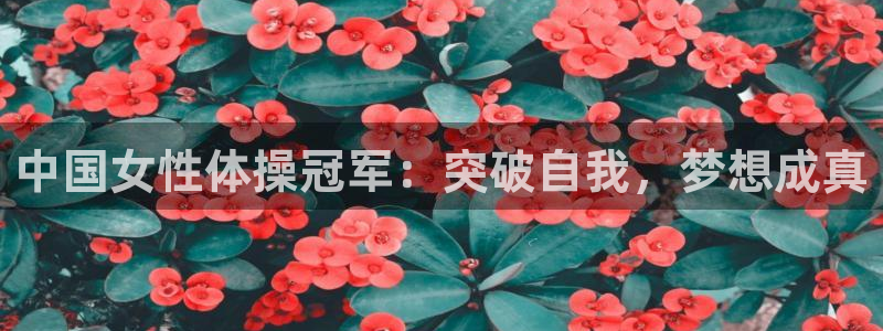 风速体育app官方下载