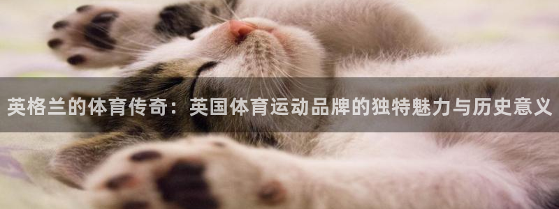 风速体育app下载安装最新版本