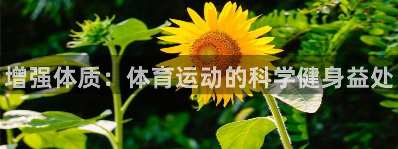 风速体育下载