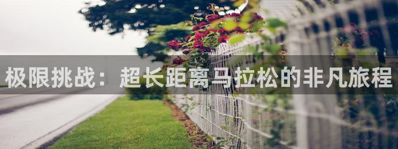 风速体育官网