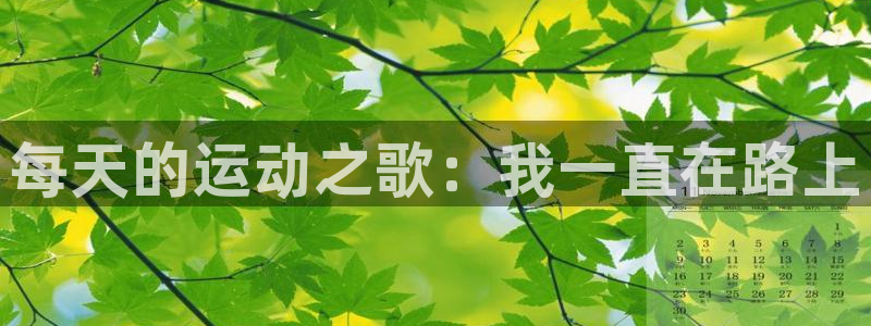 风速体育nba直播