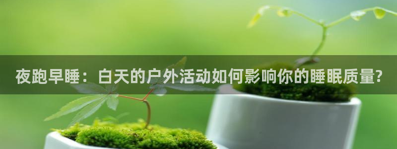 风速体育官网