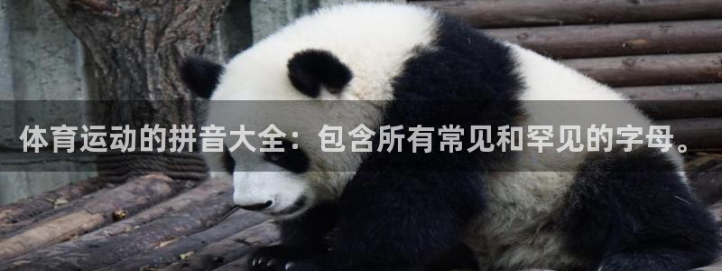 风速体育app下载官网最新版