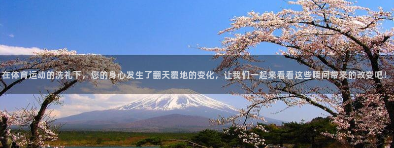 风速体育官网