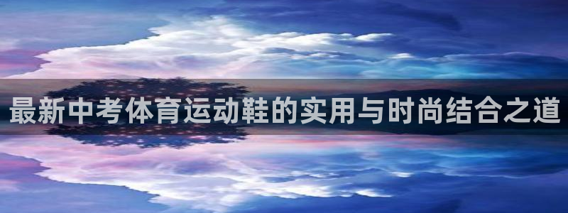 风速体育官网