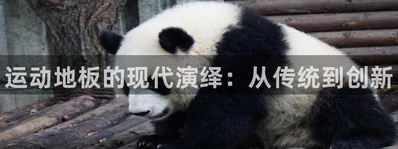 风速体育下载