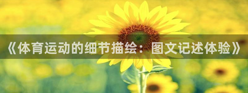风速体育直播