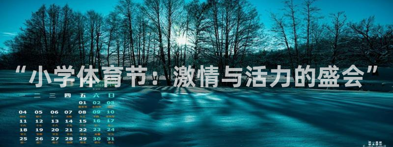 风速体育nba免费直播