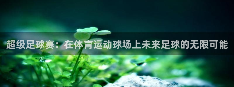 风速体育官网