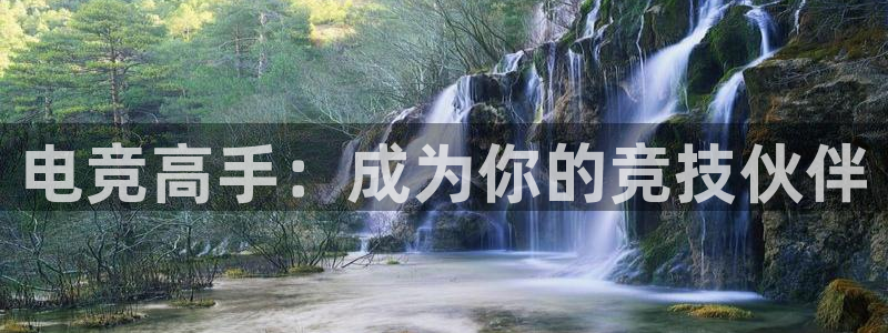 风速体育下载