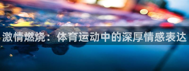 风速体育