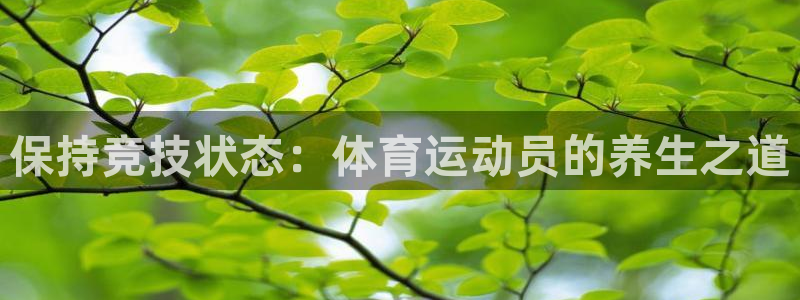 风速体育cba直播