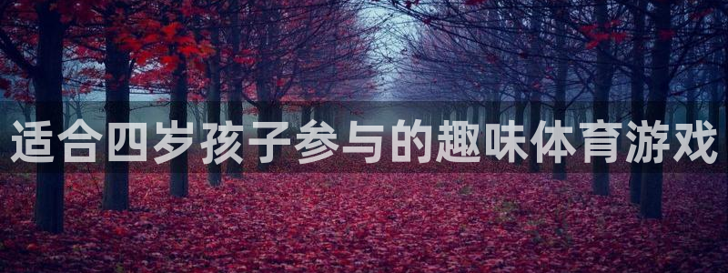 风速体育