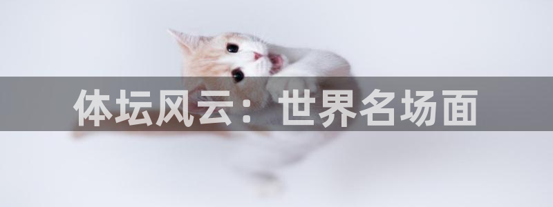 风速体育cba直播