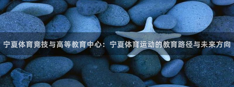 风速体育app下载官网最新版