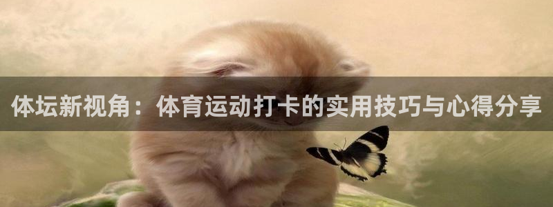 风速体育nba直播